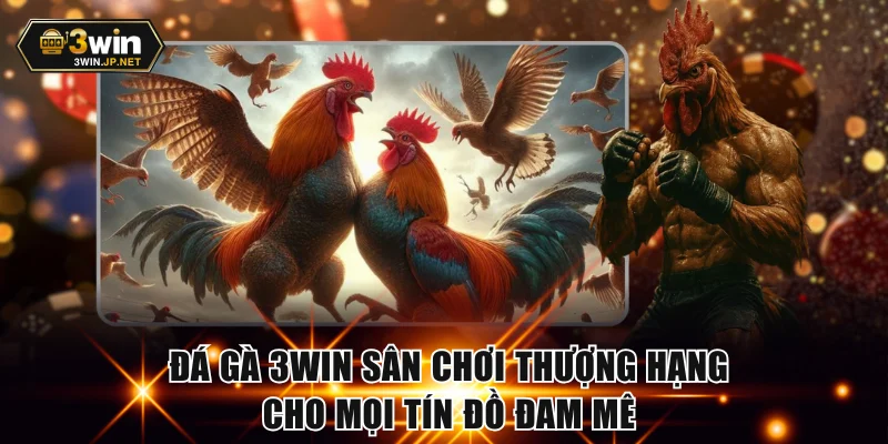 Đá Gà 3win Sân Chơi Thượng Hạng Cho Mọi Tín Đồ Đam Mê