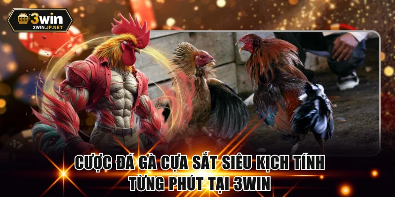 Đá gà cựa sắt