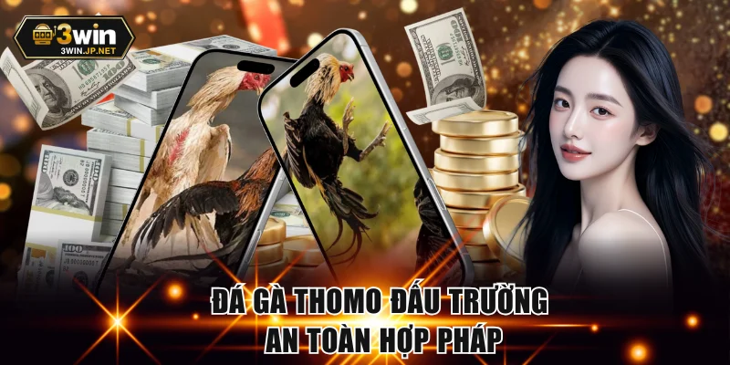 Đá gà Thomo đấu trường an toàn hợp pháp
