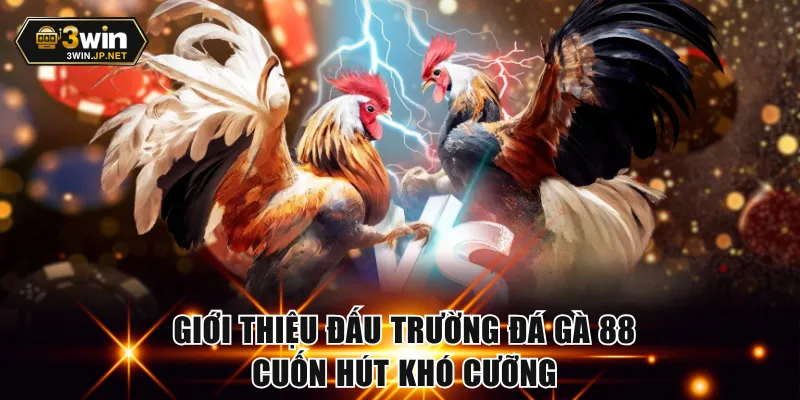 Giới thiệu đấu trường đá gà 88 cuốn hút khó cưỡng