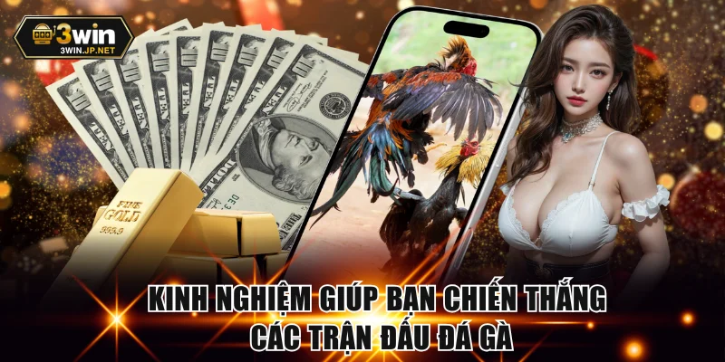 Kinh nghiệm giúp bạn chiến thắng các trận đấu đá gà